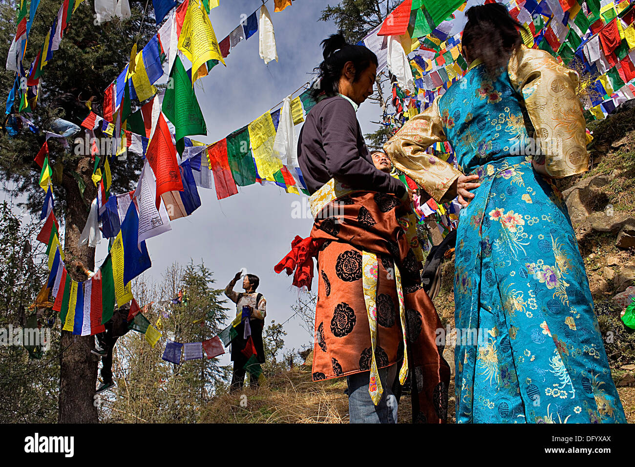 Gens en suspens drapeaux de prière Tibetains dans Lhagyal Ri, près de Tsuglagkhang complex,McLeod Ganj, Dharamsala, Himachal Pradesh, dans Banque D'Images