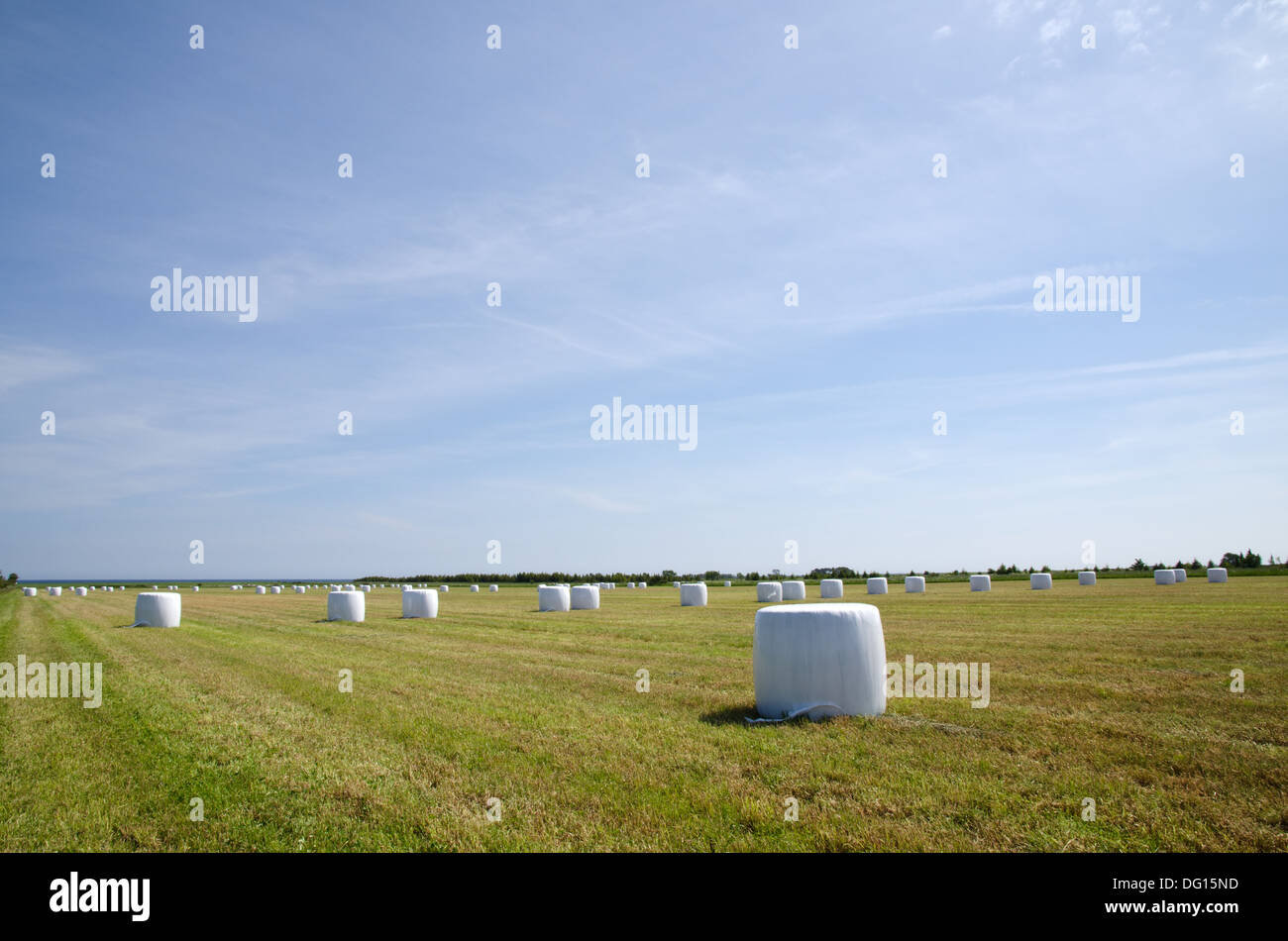 Balles en plastique Banque D'Images