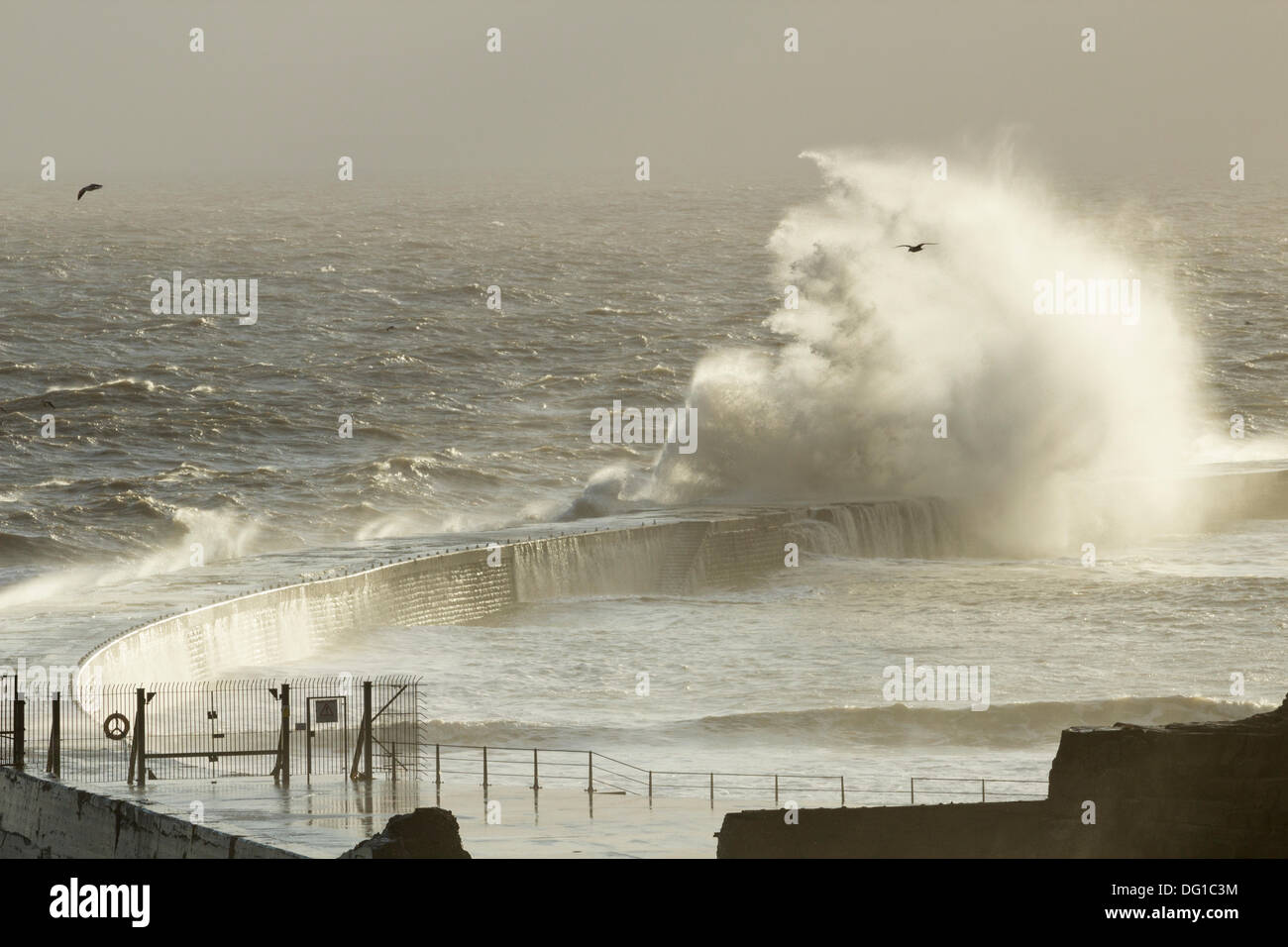 Vagues se brisant sur mur du port à Seaham, County Durham sur la côte nord-est de l'Angleterre, Royaume-Uni Banque D'Images