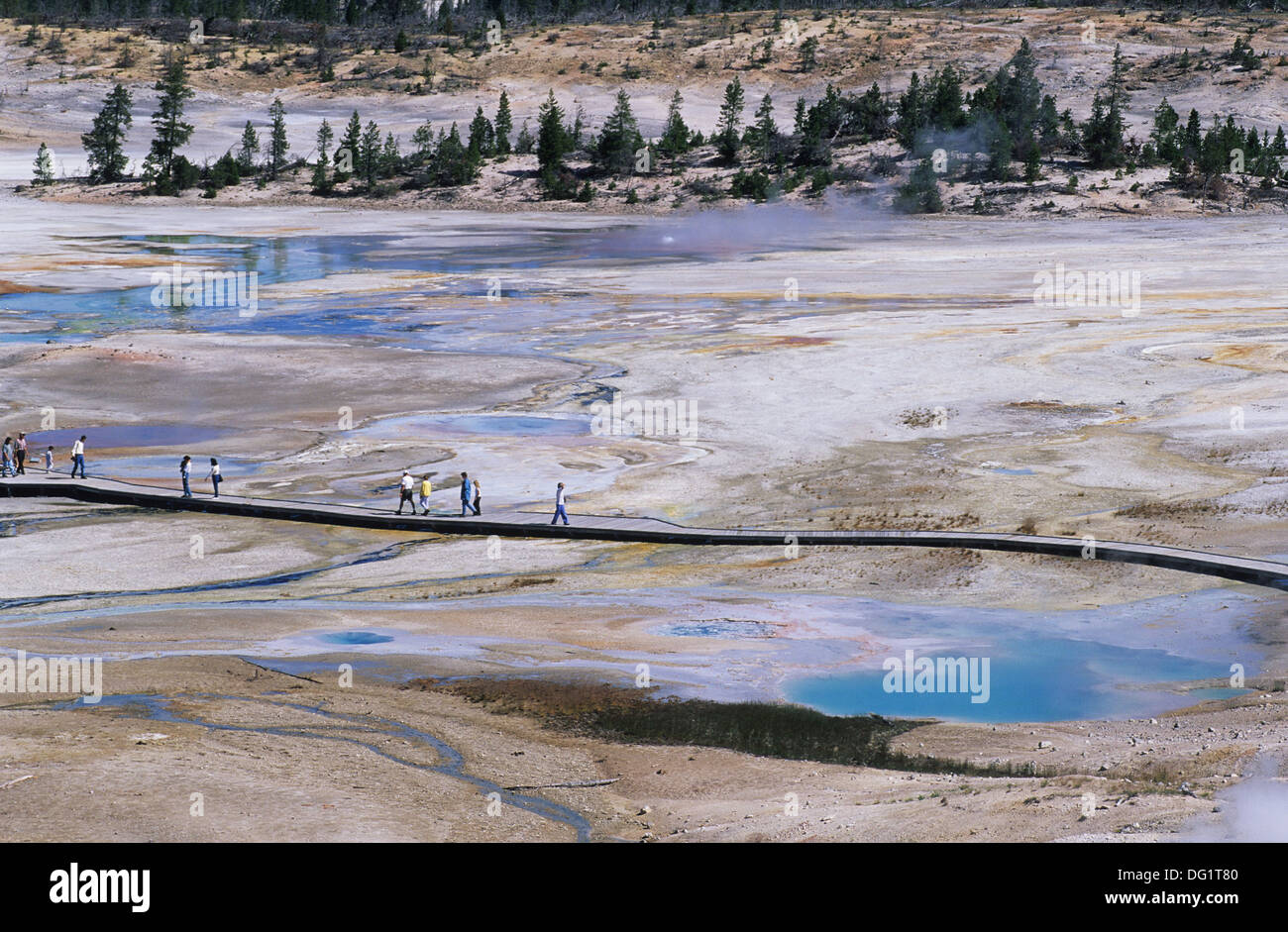 Elk265-1698 le Parc National de Yellowstone, Wyoming, Norris Geyser Basin, bassin en porcelaine Banque D'Images