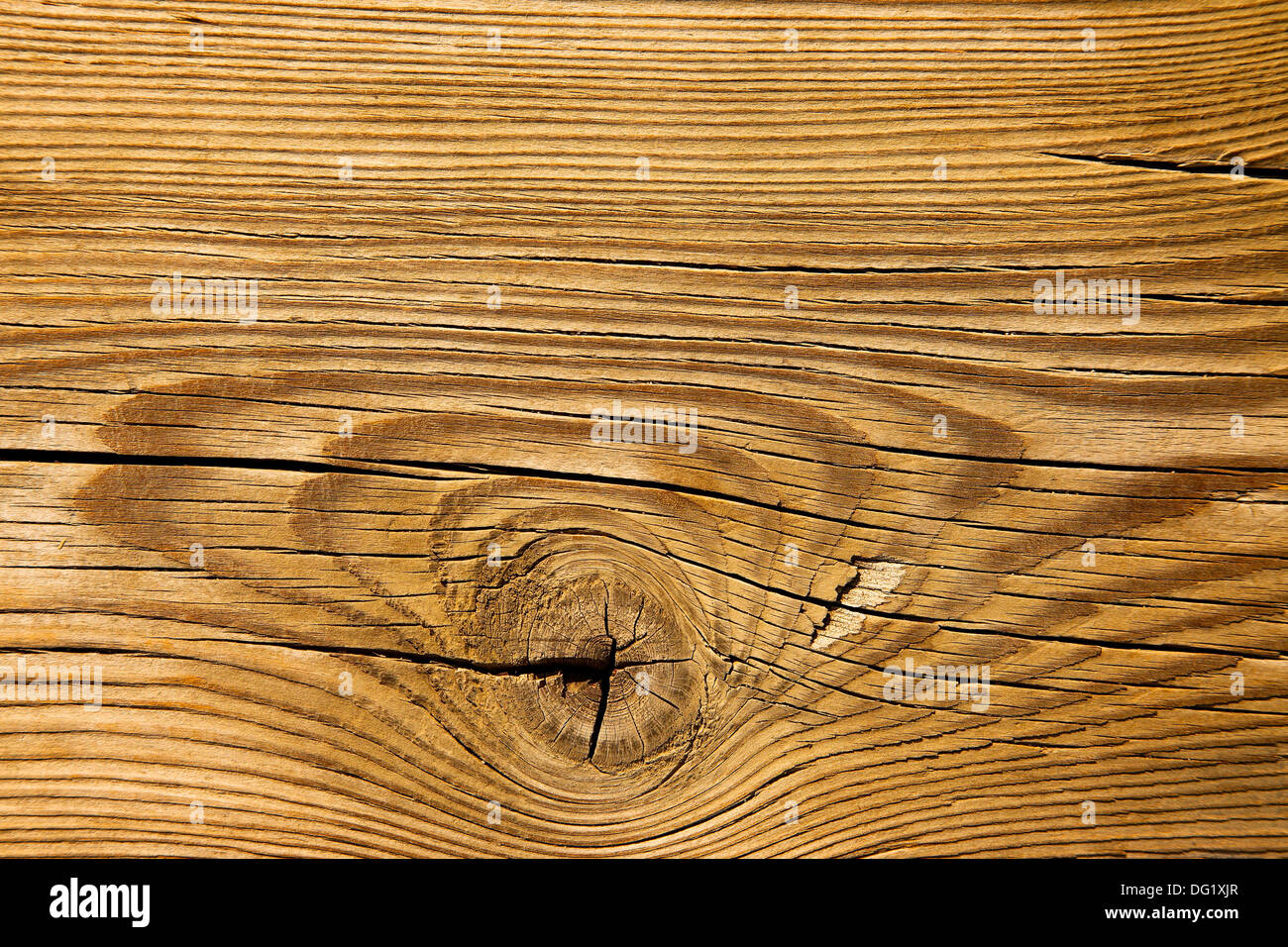 Texture du bois Banque D'Images