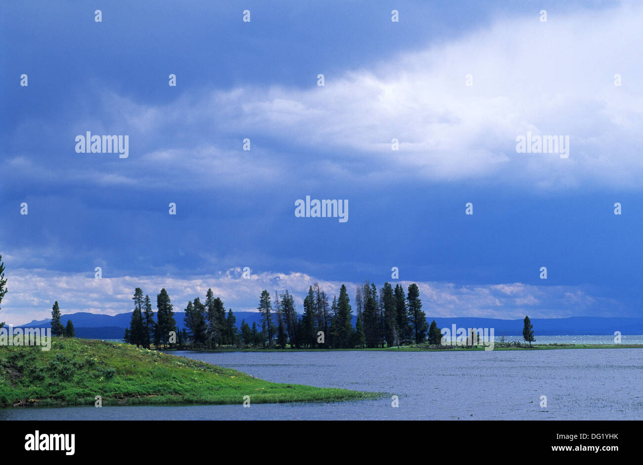 Elk265-2457 du Wyoming, Yellowstone National Park, le Lac Yellowstone, paysage Banque D'Images