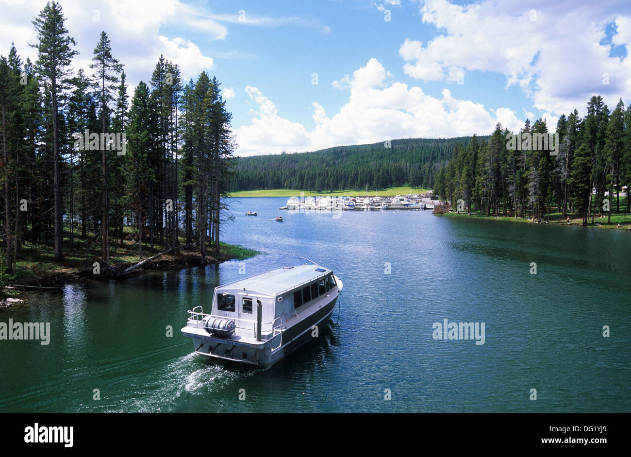 Elk265-2470 le Parc National de Yellowstone, Wyoming, Yellowstone Lake, bateau d'excursion à Bridge Bay Banque D'Images