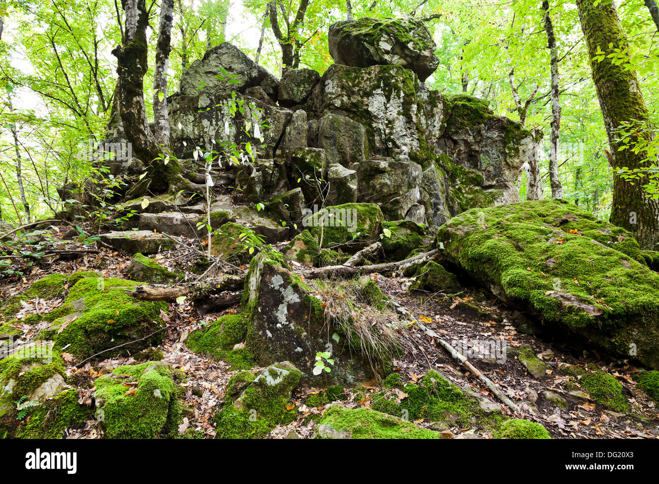 Devil Rock finger - jalon dans shapsugskaya zone anomale en montagnes du Caucase Banque D'Images