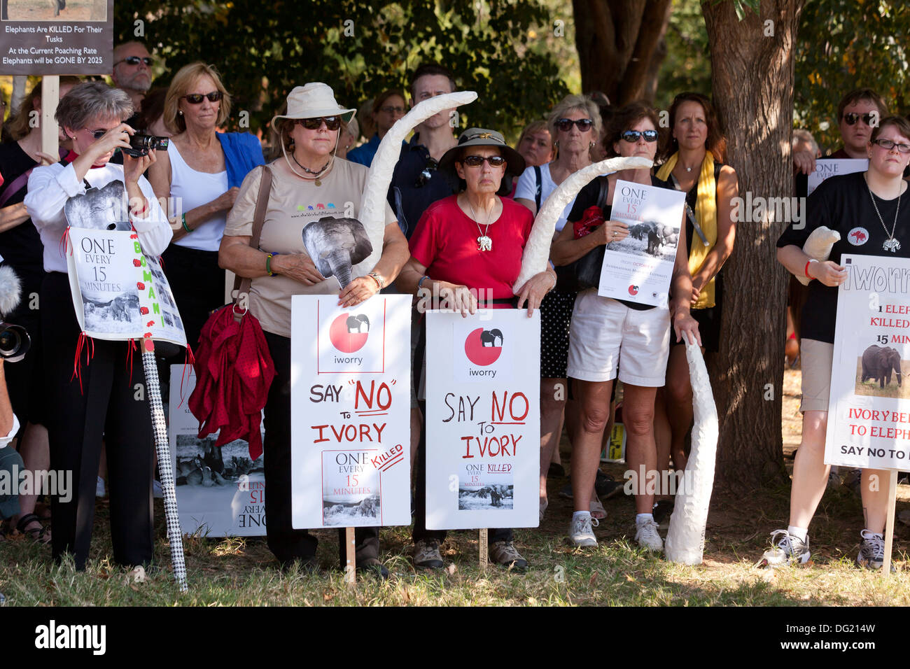 Les manifestants Mars éléphant tenant des pancartes de protestation contre le braconnage pour l'ivoire - Washington, DC USA Banque D'Images