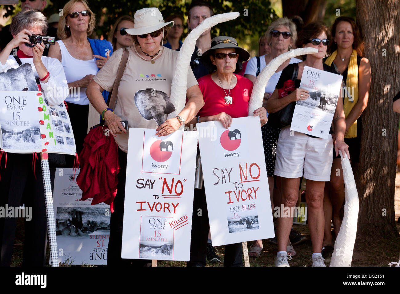 Les manifestants Mars éléphant tenant des pancartes de protestation contre le braconnage pour l'ivoire - Washington, DC USA Banque D'Images