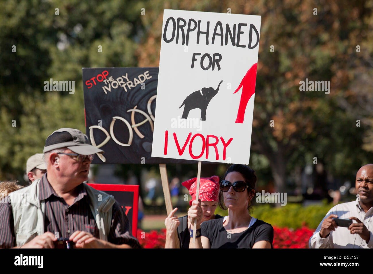 Les manifestants Mars éléphant tenant des pancartes de protestation contre le braconnage pour l'ivoire - Washington, DC USA Banque D'Images
