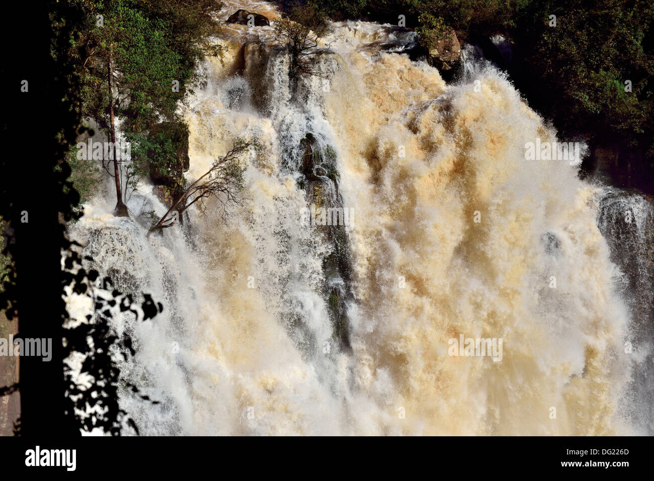 Brésil, Parc National Iguassu : Spot d'une cascade d'Iguassu Falls avec des volumes d'eau record Banque D'Images