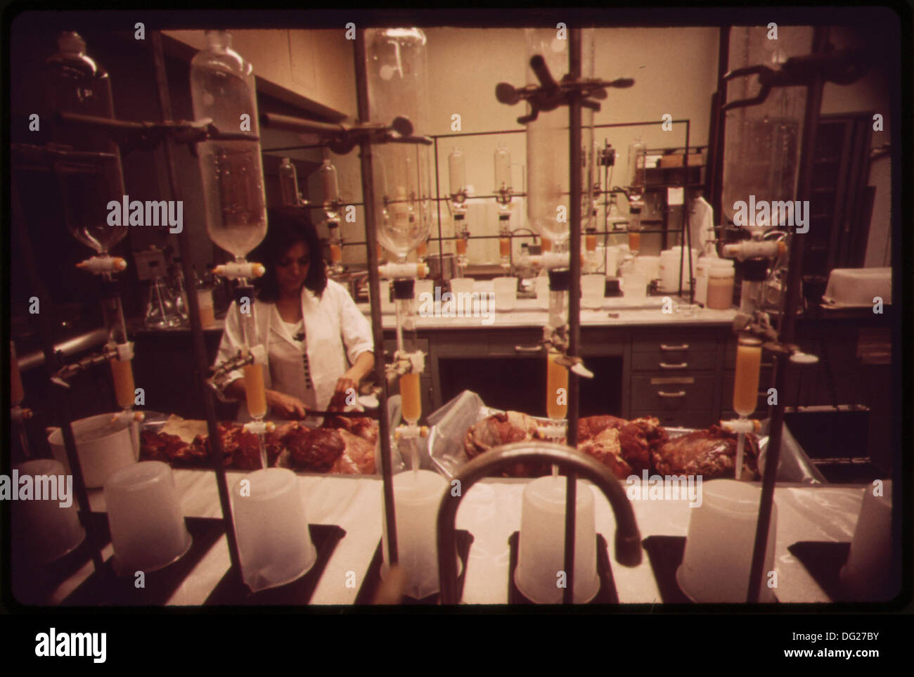 Un technicien teste des échantillons de viande pour les radiations au National Environmental Research Center de l'EPA à Las Vegas. Ce processus contribue à assurer la sécurité alimentaire et surveille la contamination environnementale. Banque D'Images