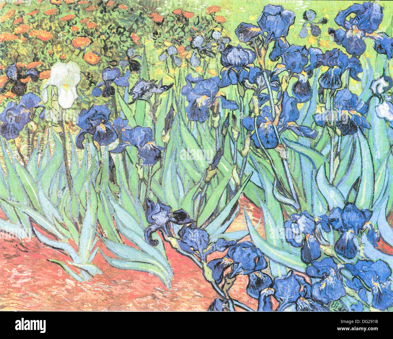 Pinturas De Flores Sobre Lienzo, Reproducción De Van Gogh | Cuotas Sin