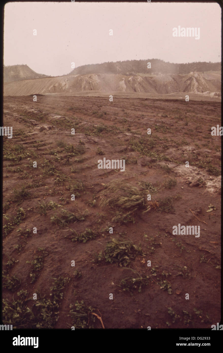 Les efforts de remise en état de la mine à ciel ouvert de la Peabody Coal Company au sud de Colstrip impliquent l'aplatissement des tas de déblais et la plantation de végétation. Ce processus aide à restaurer les terres après l'exploitation minière, favorisant ainsi la restauration de l'environnement. Banque D'Images