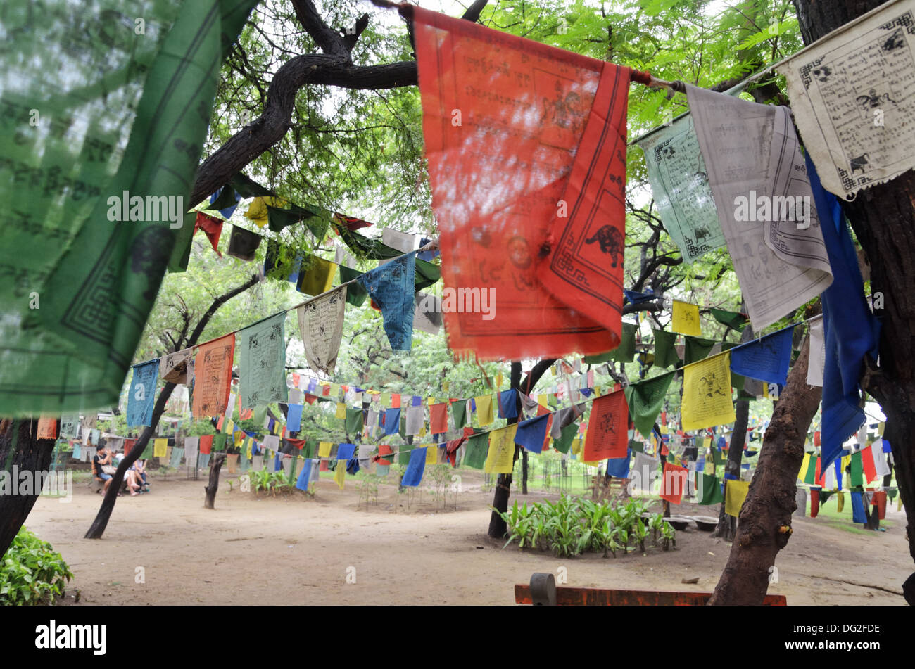 Drapeaux de prière tibetains à Majnu Ka Tilla Park à New Delhi, Inde Banque D'Images