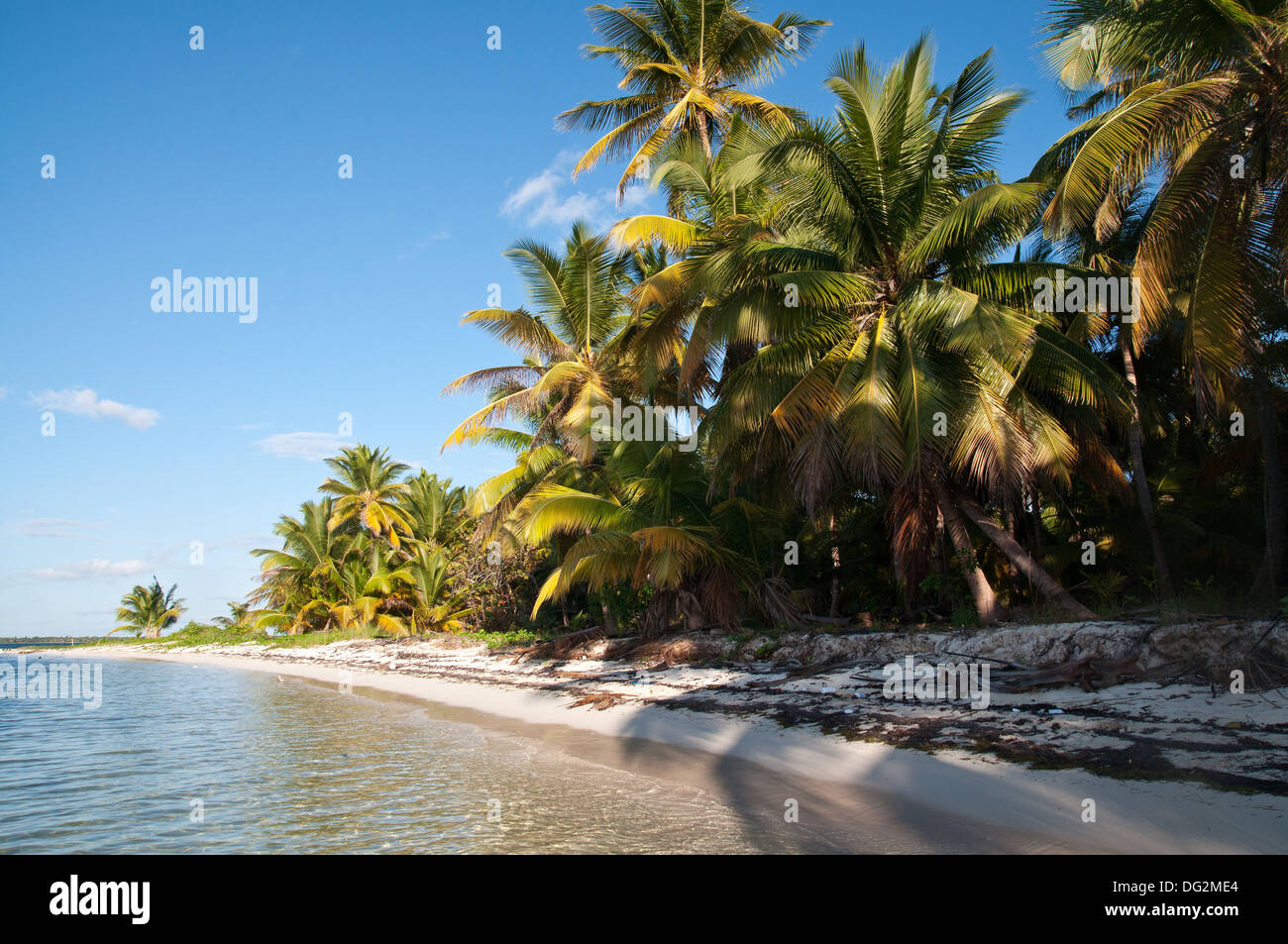 L'île de Saona, en République Dominicaine, Caraïbes. Banque D'Images