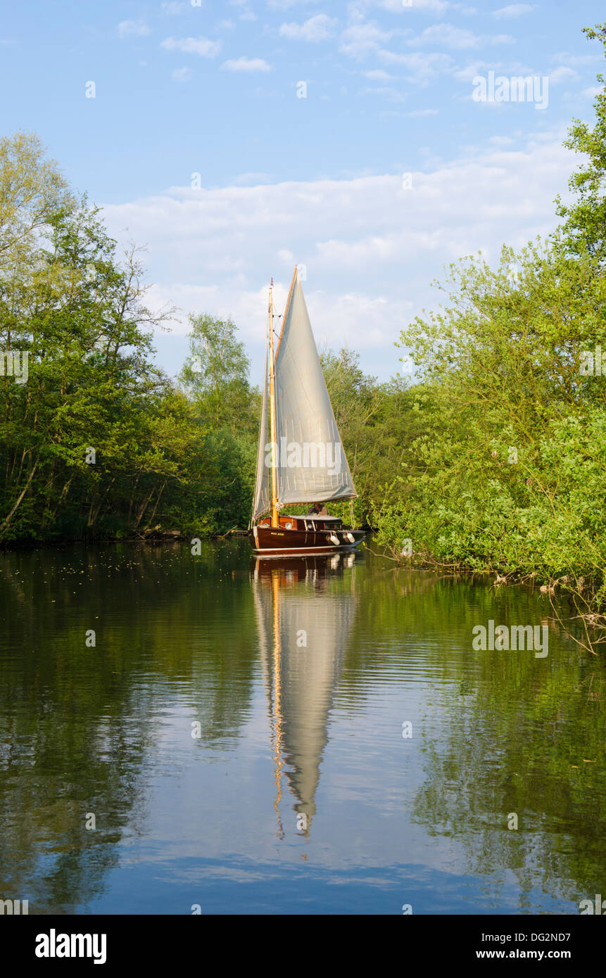 Navigation dans un yacht sur la rivière Bure sur les Norfolk Broads, UK en mai à côté des arbres. Banque D'Images