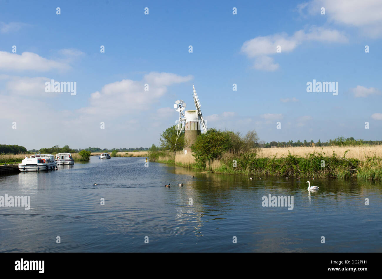 Turf Drainage Fen, Mill River Ant, Norfolk Broads. UK. Mai. Banque D'Images