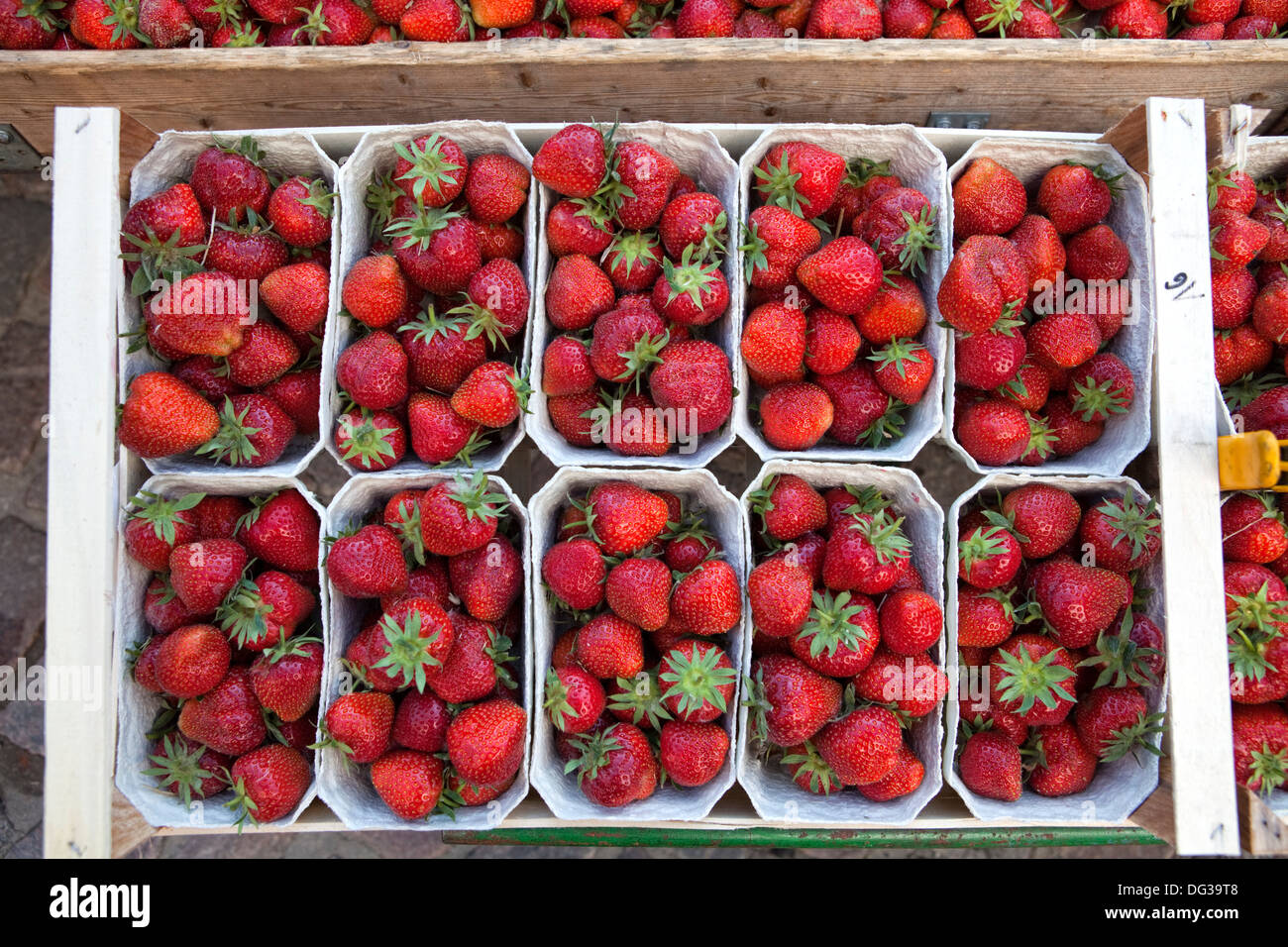 Les fraises at a market stall, Hanovre, Basse-Saxe, Allemagne, Europe, Banque D'Images