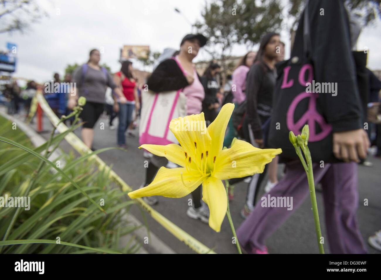 Los Angeles, Californie, USA. 13 Oct, 2013. Des milliers de personnes participent à la 29e marche annuelle contre le SIDA Los Angeles le dimanche, Octobre 13, 2013 à West Hollywood, Californie. Ringo : crédit Chiu/ZUMAPRESS.com/Alamy Live News Banque D'Images