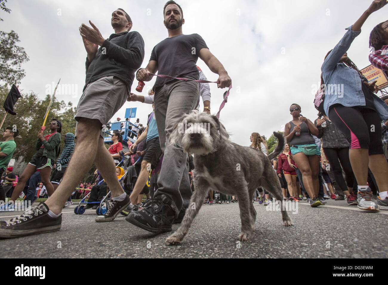 Los Angeles, Californie, USA. 13 Oct, 2013. Un chien se joint à des milliers de personnes participent à la 29e marche annuelle contre le SIDA Los Angeles le dimanche, Octobre 13, 2013 à West Hollywood, Californie. Ringo : crédit Chiu/ZUMAPRESS.com/Alamy Live News Banque D'Images