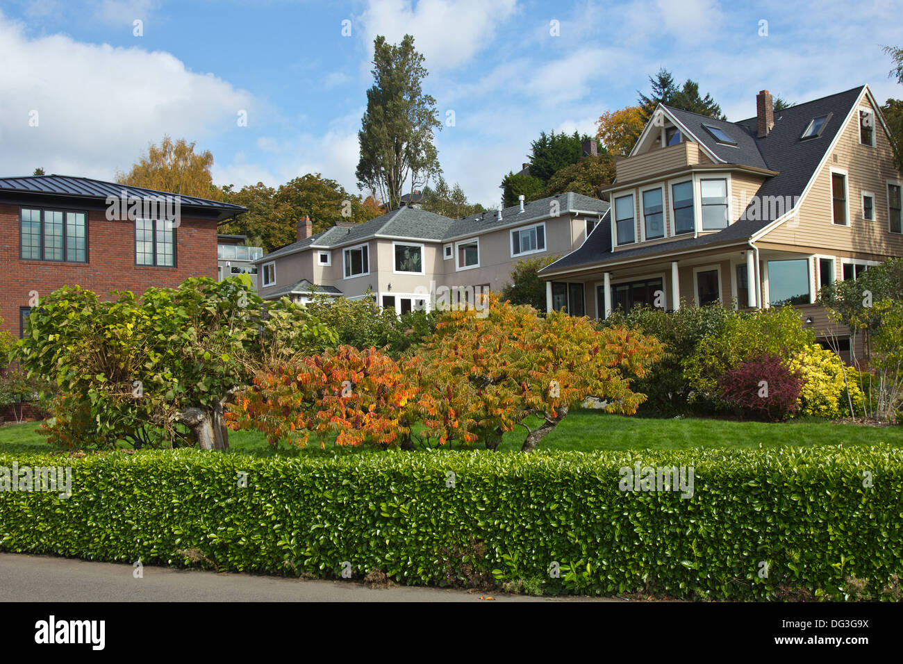 Quartier de la promenade Highland et plantes homes Seattle WA. Banque D'Images