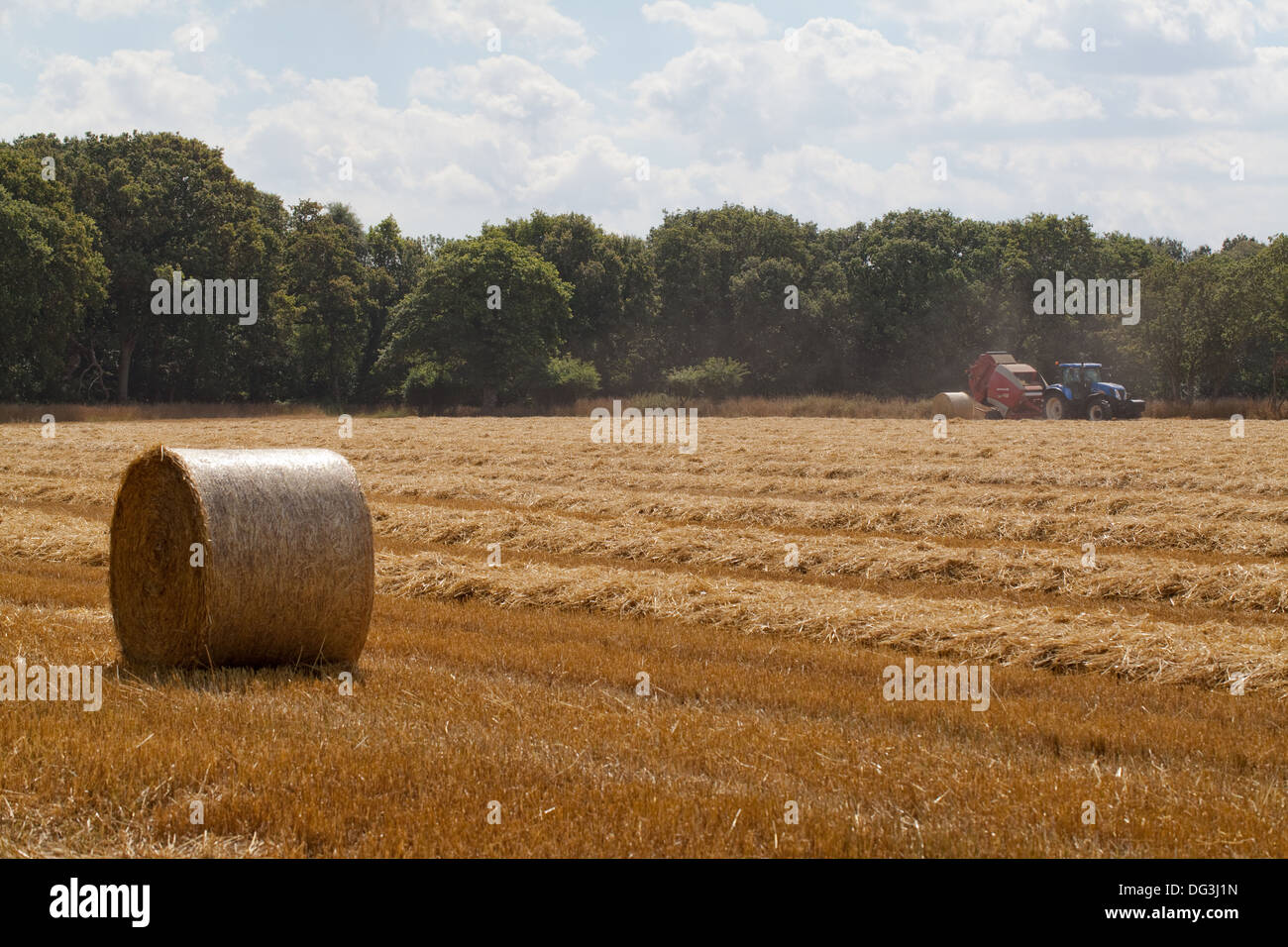 Round, net lié et enveloppé, avec des balles tirées du tracteur, la mise en balles machine, travaillant plus de rangées de paille, de moissonneuse-batteuse. Banque D'Images