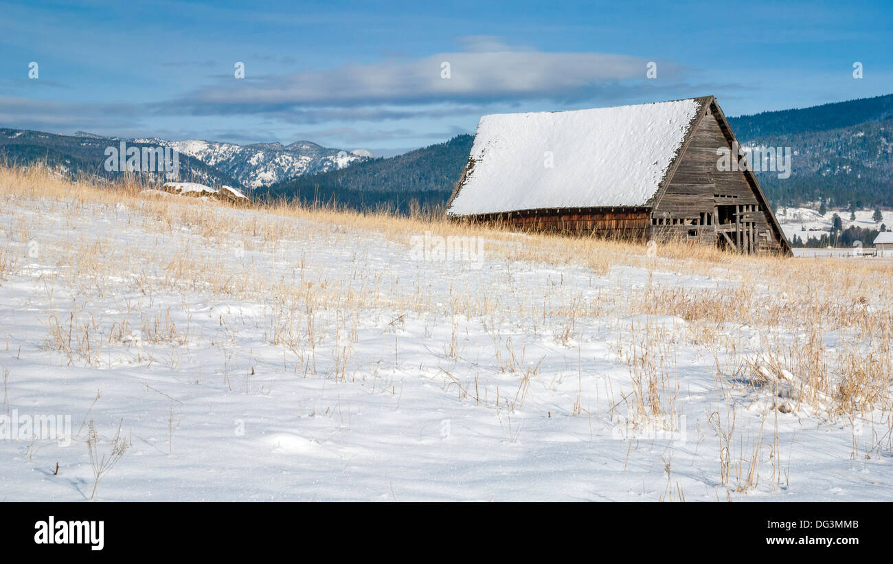 L'hiver dans les montagnes avec une grange et forêt Banque D'Images