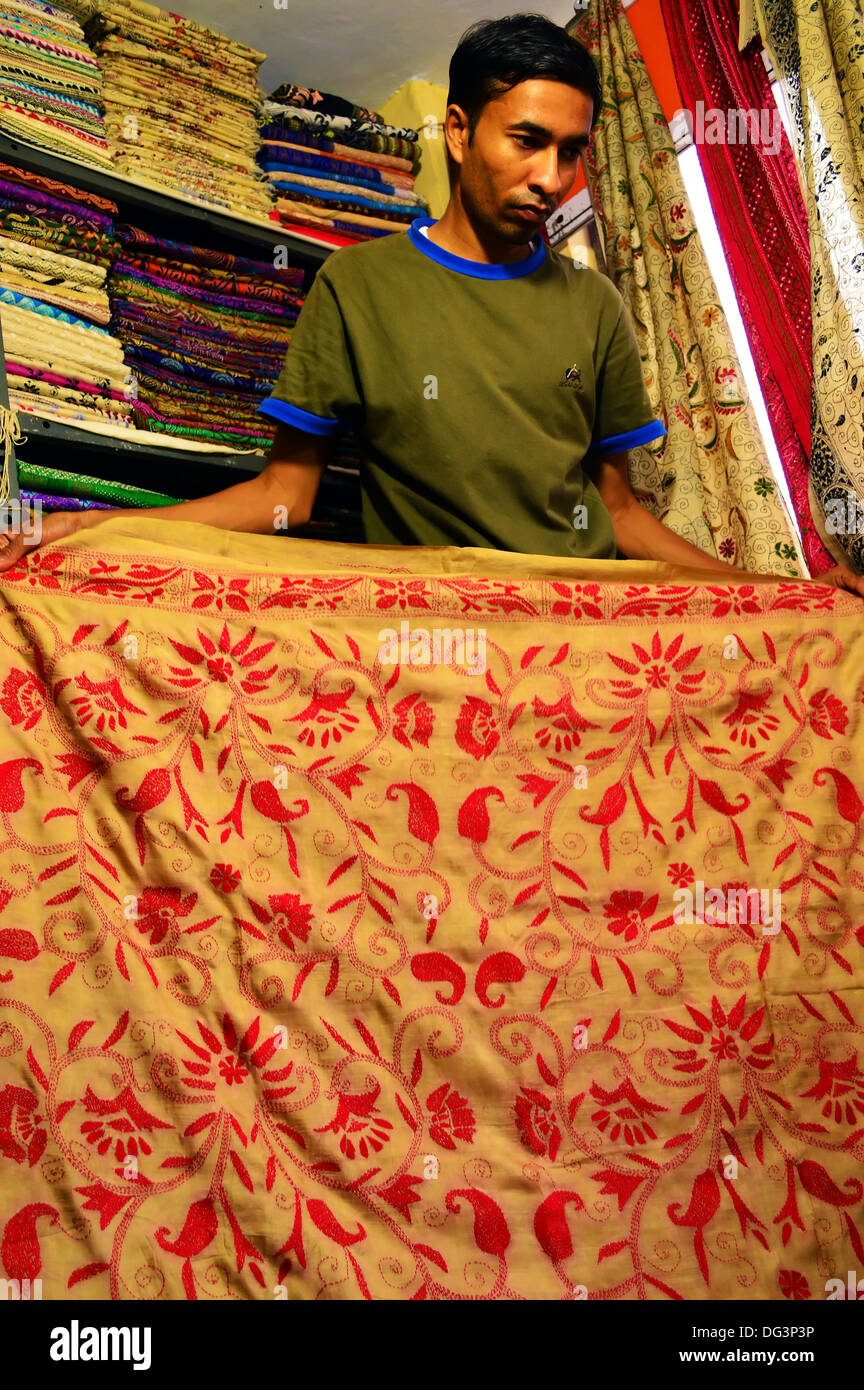 Saree, Kaantha Point de Croix, de l'artisanat, couture, soie, soie Tussar Saree Saree, boutique, Bengali, Indien Banque D'Images