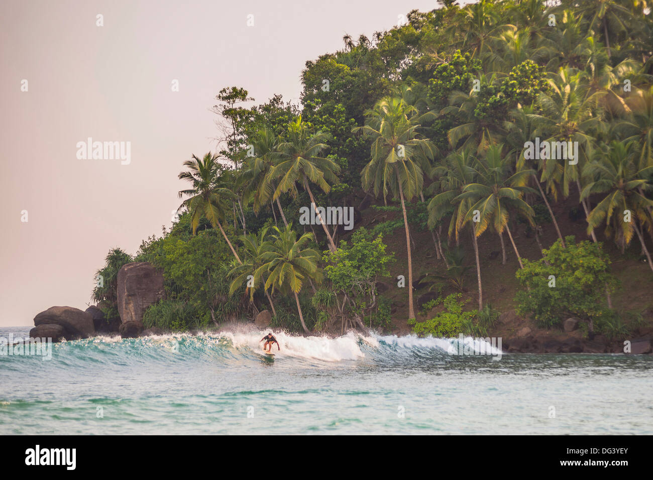 Surfer le surf au coucher du soleil à Mirissa Beach, Côte Sud, Sri Lanka, Province du Sud, Asie Banque D'Images