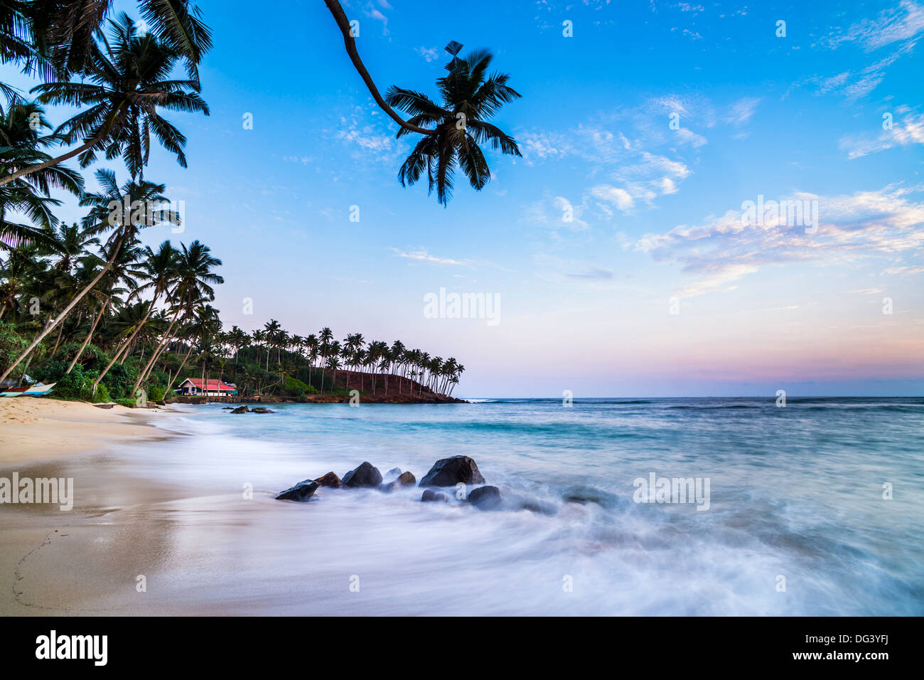Palmier au coucher du soleil, de la plage de Mirissa, Côte Sud, Province du Sud, Sri Lanka, Asie Banque D'Images