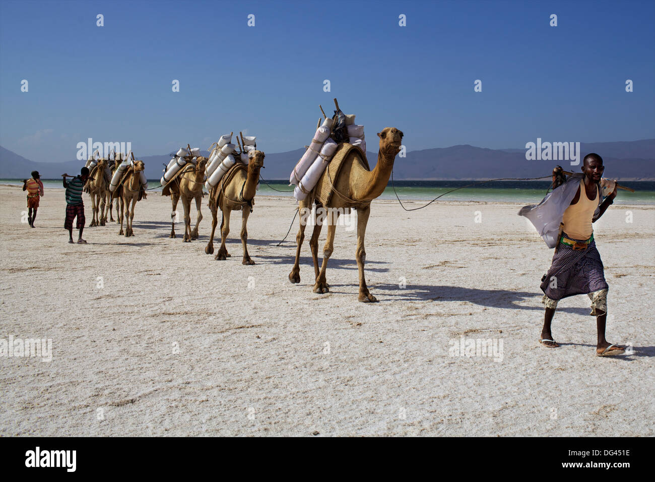 Caravane de sel de Djibouti, le lac Assal allant de montagnes éthiopiennes à l'Afrique, Djibouti, Banque D'Images