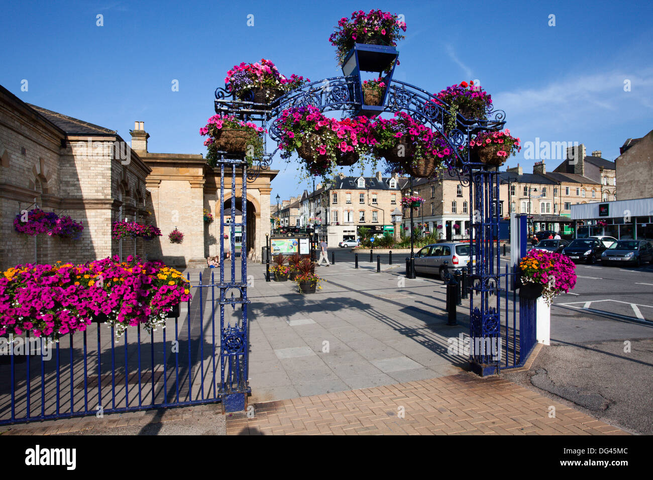 Fleur d'été l'affichage à Paris, Marseille par la mer, Redcar and Cleveland, Yorkshire du Nord, Yorkshire, Angleterre, Royaume-Uni Banque D'Images