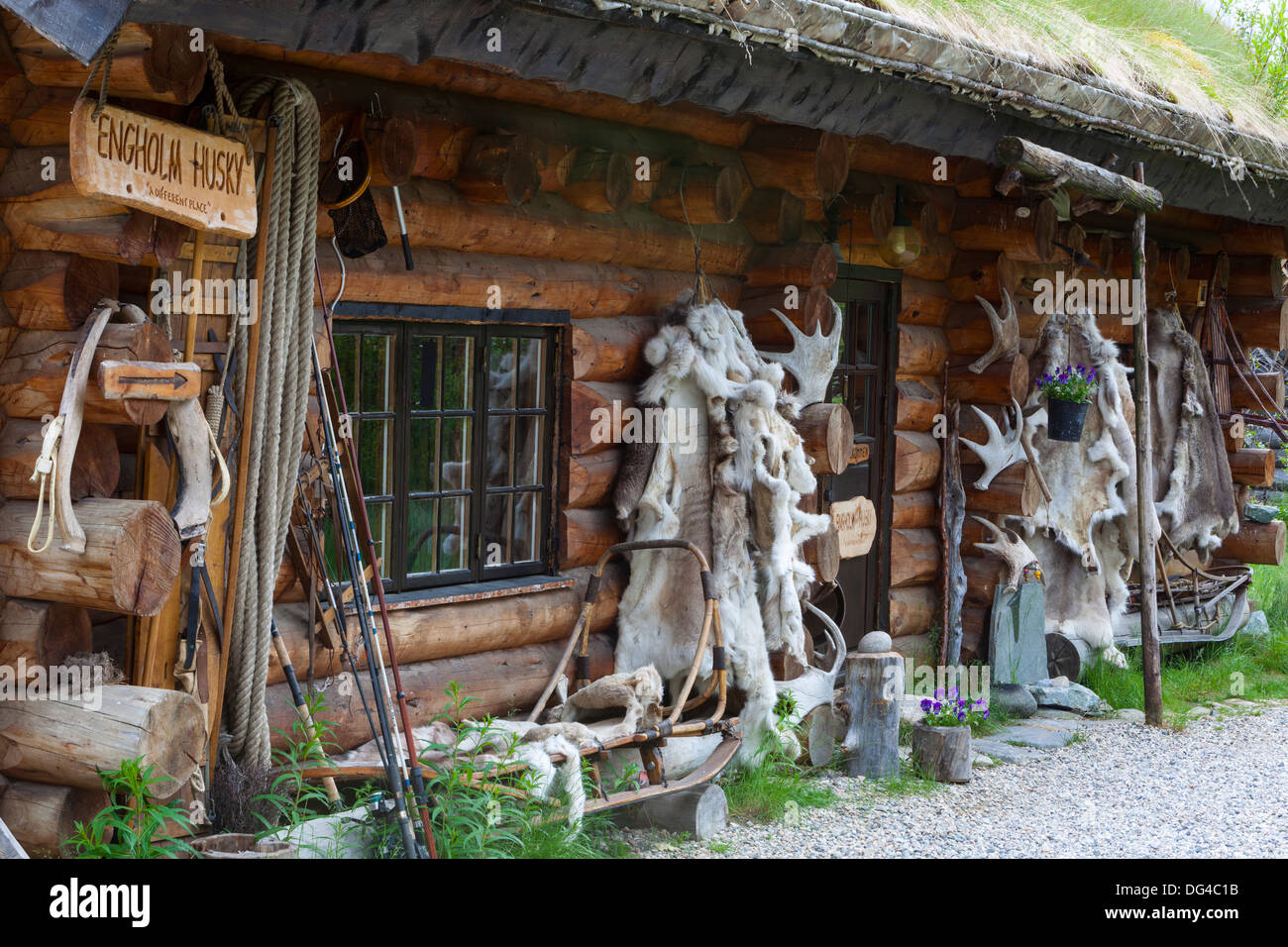 Engholm Husky Centre, Karajok, Finnmark, Norvège, Scandinavie, Europe Banque D'Images