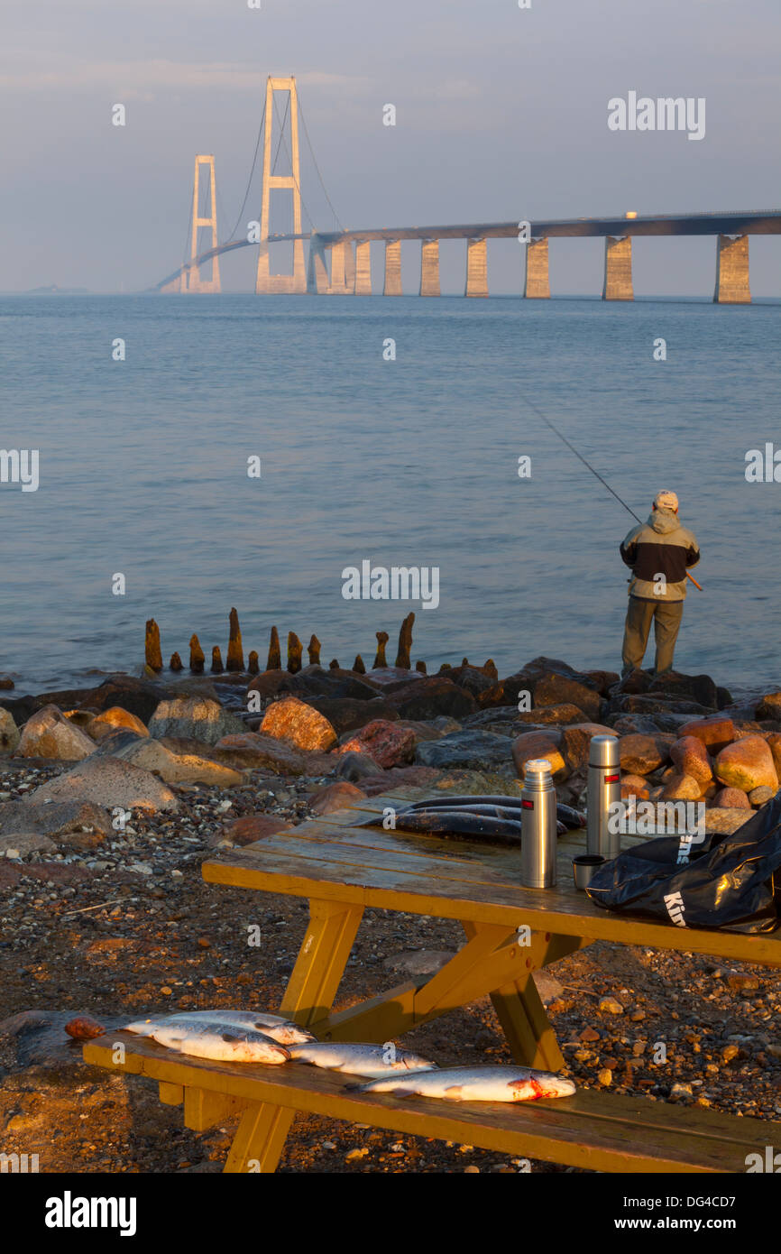 Nyborg-Korsor Bridge, Korsor, Danemark du Sud, Danemark, Scandinavie, Europe Banque D'Images