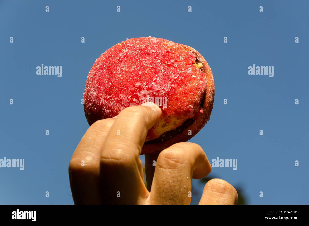 Main tenant un gâteau avec du sucre et du chocolat Banque D'Images
