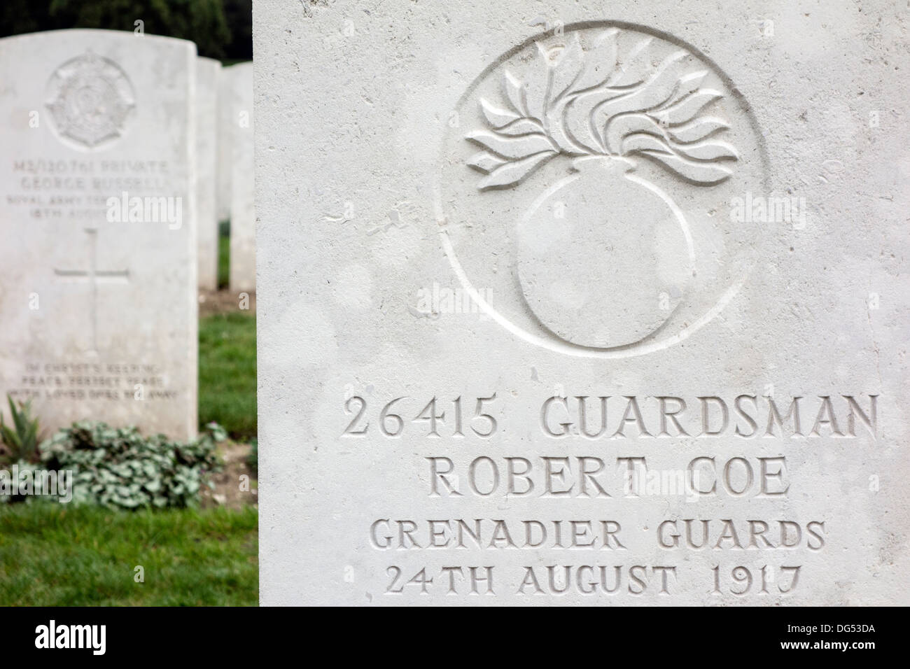 L'insigne régimentaire de Grenadier guards sur tombe de la Seconde Guerre mondiale, un soldat britannique, cimetière de la Commonwealth War Graves Commission Banque D'Images