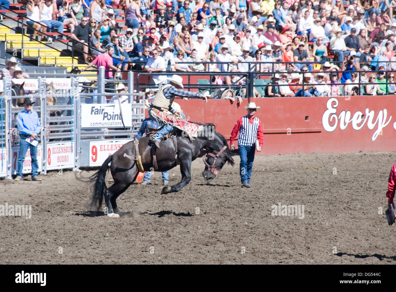 Saddle bronc riding candidat à bucking bronco horse au rodéo d'Ellensburg, week-end de la fête du Travail, le comté de Kittitas, Washington, États-Unis Banque D'Images