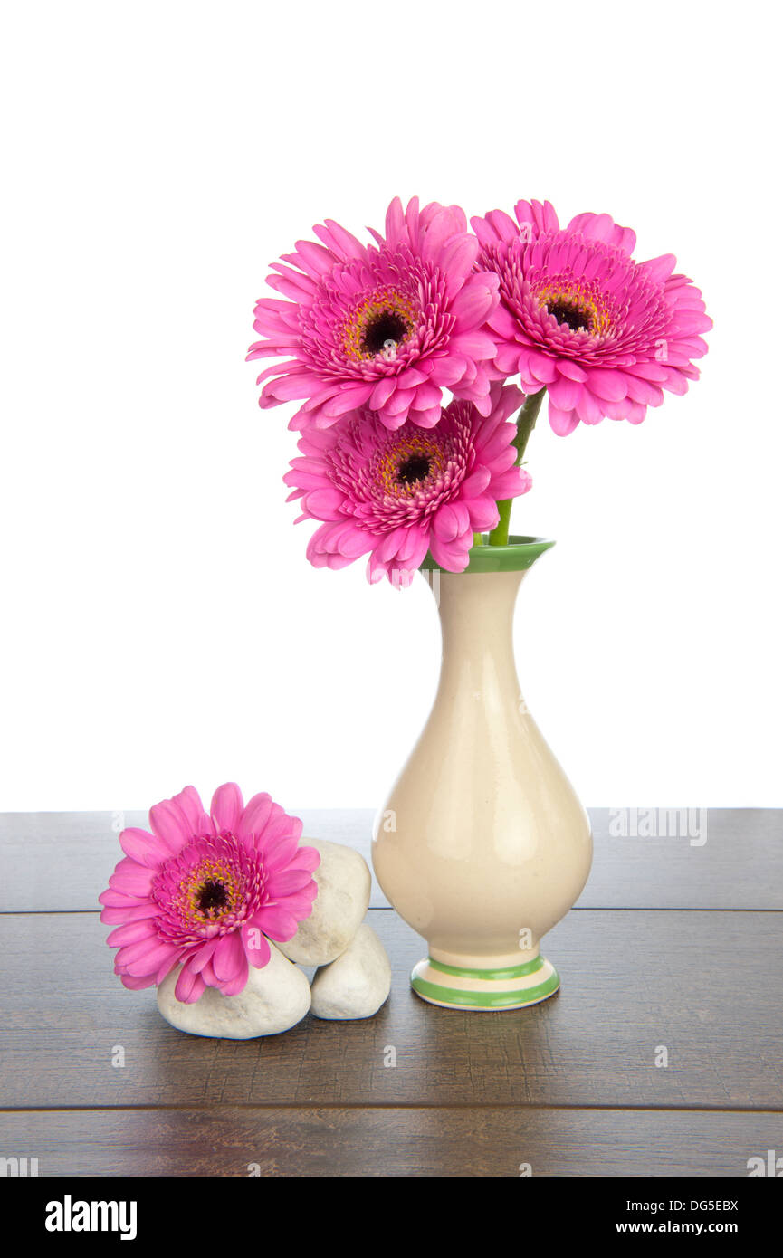 Gerbera rose dans un vase avec des tas de pierres blanches sur une étagère en bois brun foncé Banque D'Images