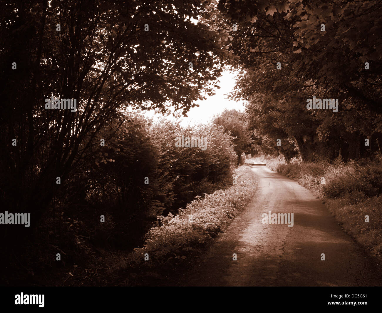 Le Thames Path près de Ewen Angleterre Banque D'Images