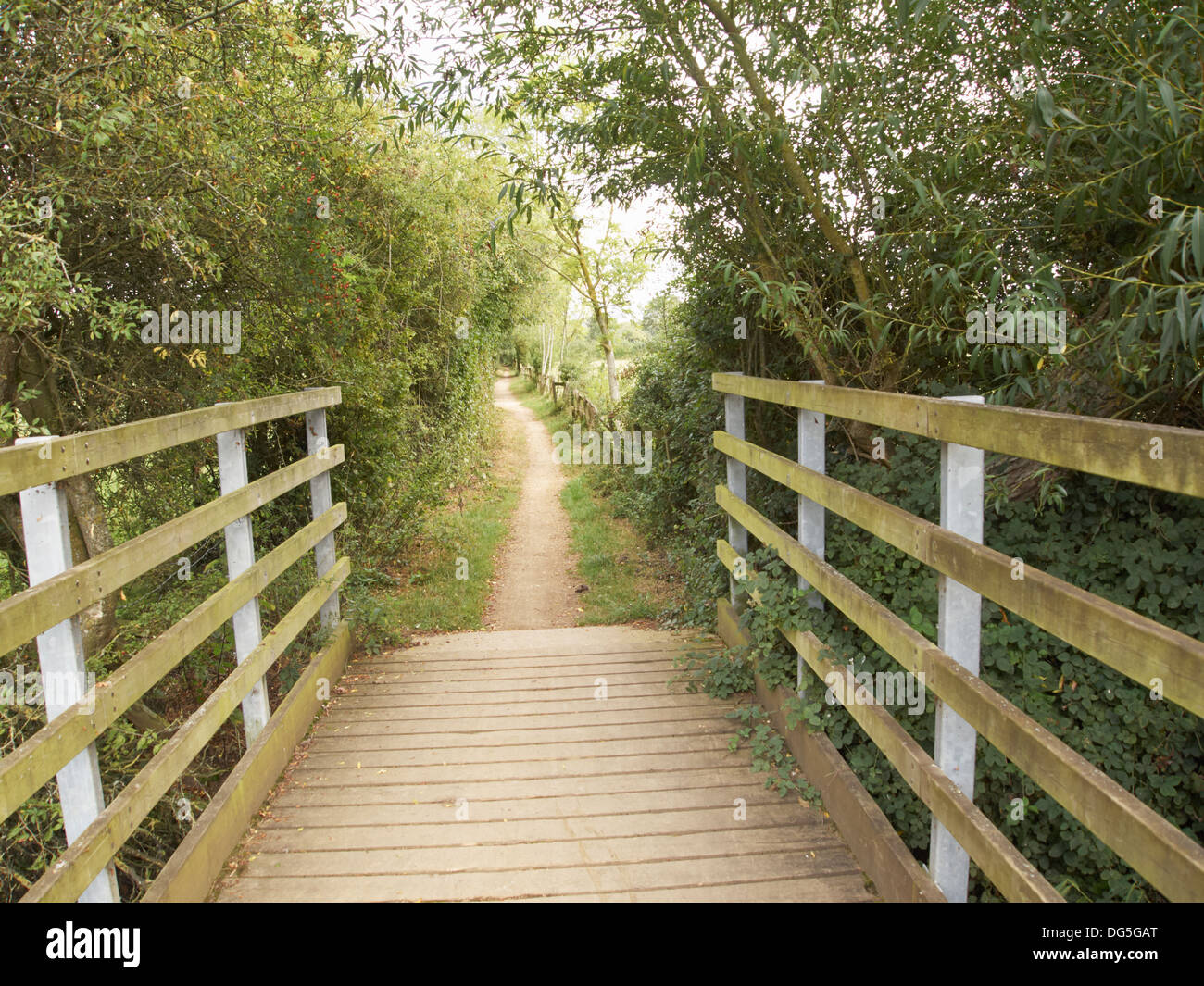 Le Thames Path près de Cricklade, Angleterre Banque D'Images