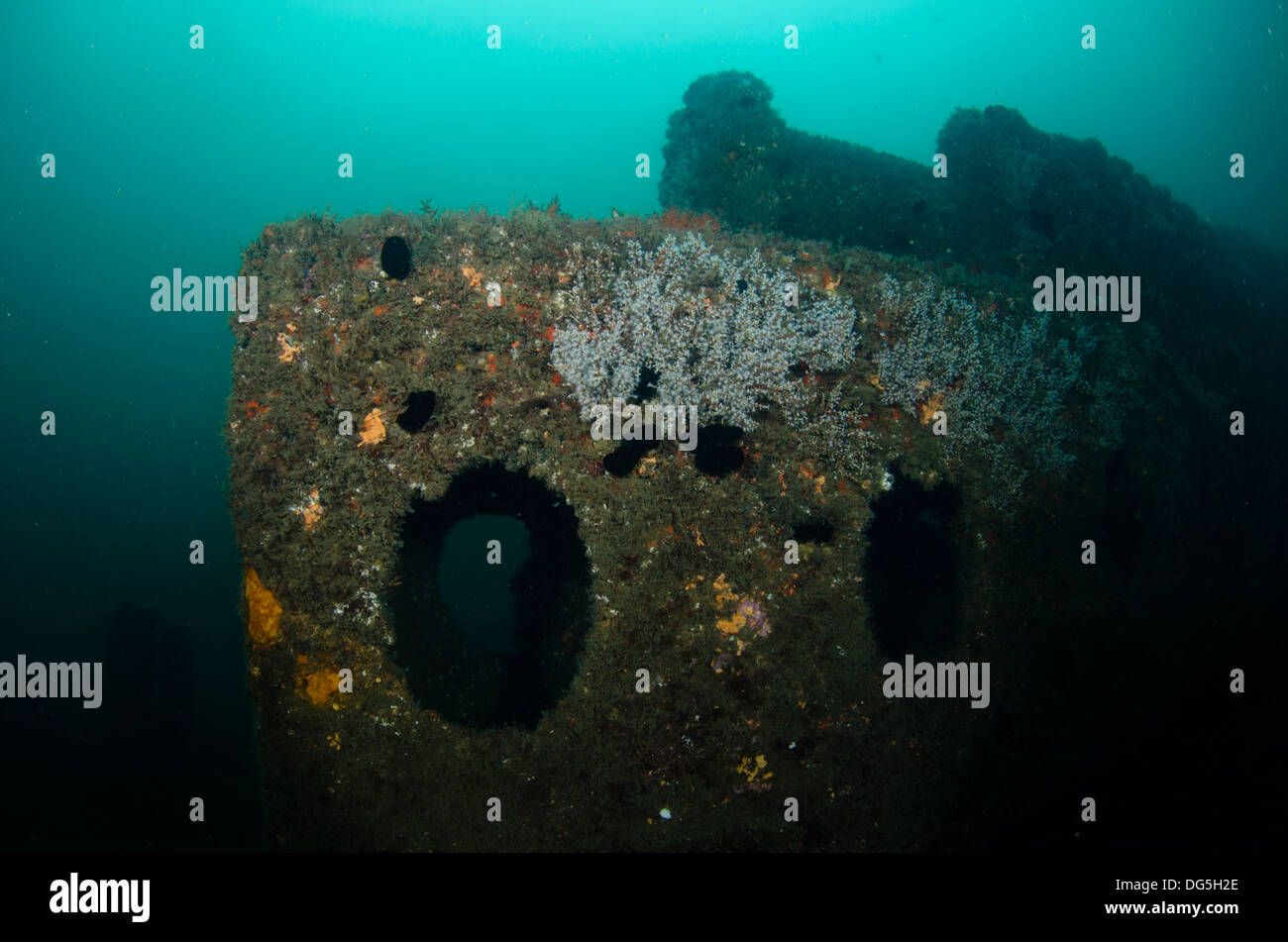 La plongée à l'Ilha das Cabras, Ilhabela, rive nord de l'Etat de Sao Paulo, Brésil Banque D'Images