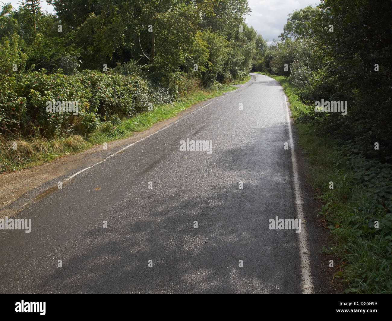 Chemin de campagne près de pont de têtard Gloucestershire Angleterre Banque D'Images