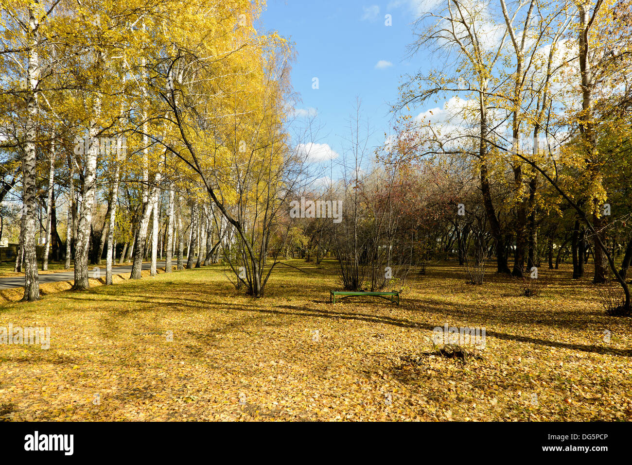 Jardin à l'automne Banque D'Images