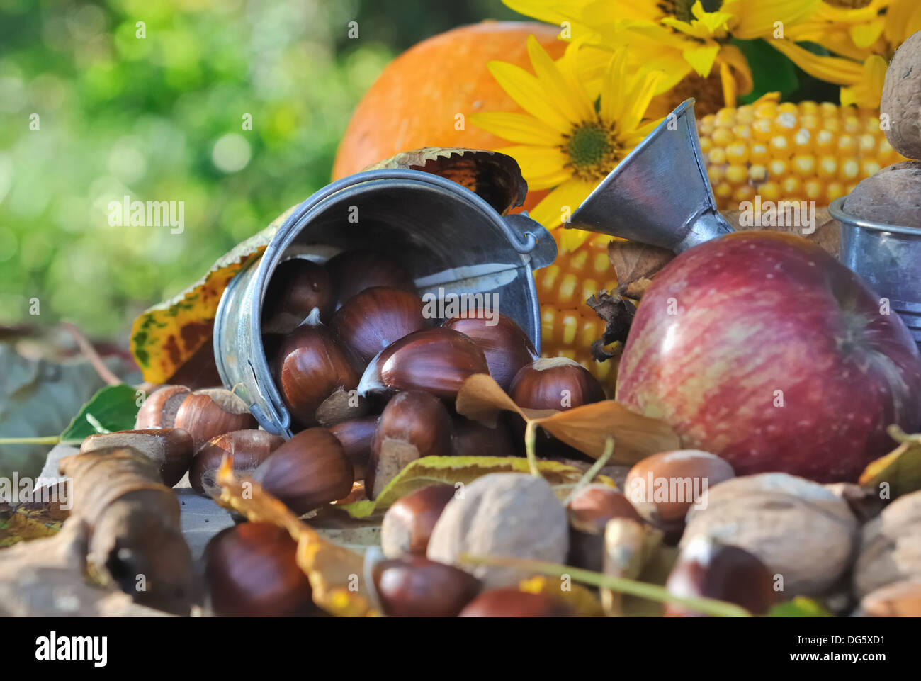 La châtaigne et autres fruits de saison dans un décor d'automne Banque D'Images