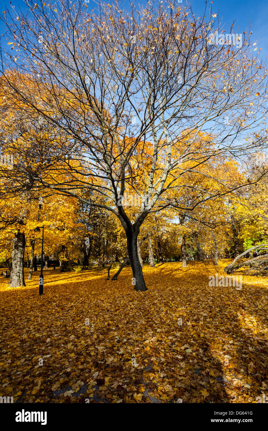 Les feuilles d'automne et d'une sculpture dans un parc à Helsinki Banque D'Images