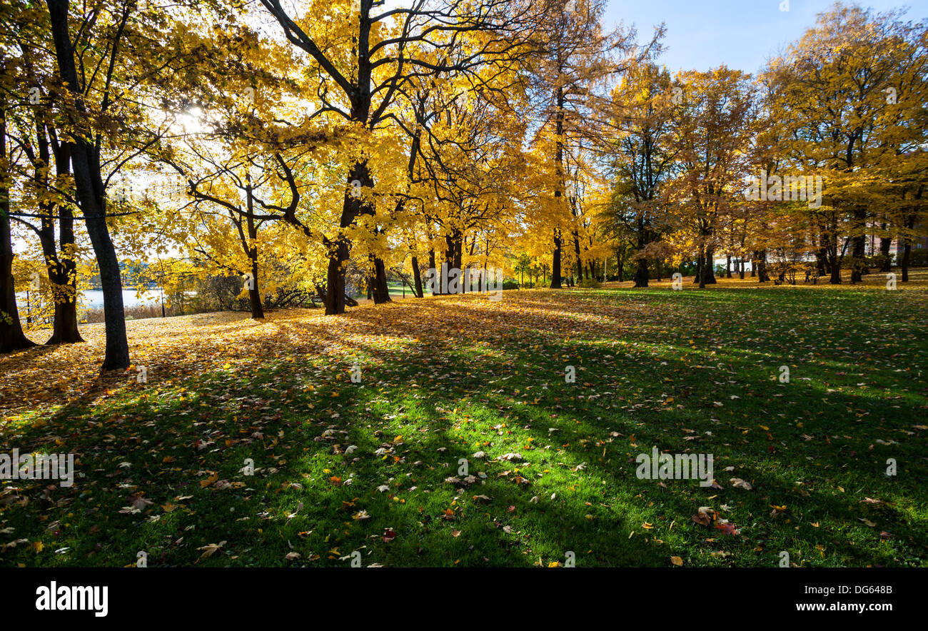 Les feuilles d'automne dans un parc à Helsinki Banque D'Images