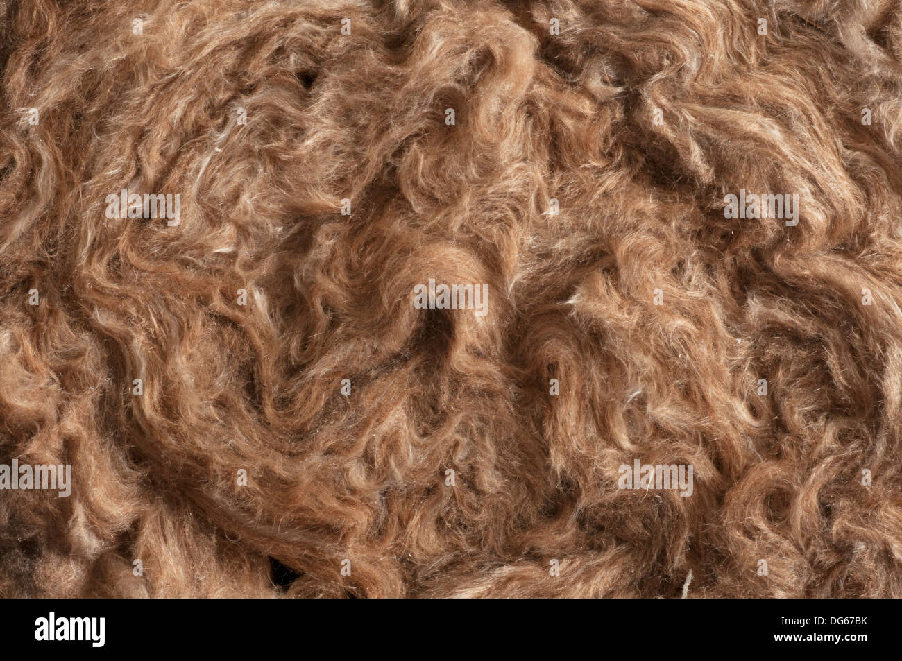 Close up d'un rouleau de laine de verre pour isolation fin, vue latérale avec détails Banque D'Images