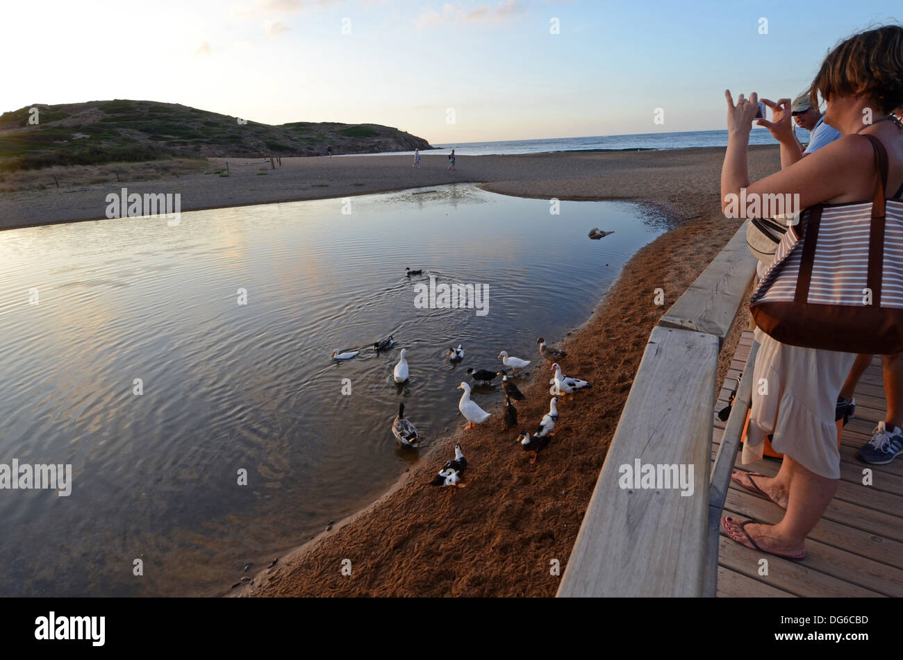 Lac avec canards dans Binimel-la plage, Es Mercadal, Menorca Banque D'Images