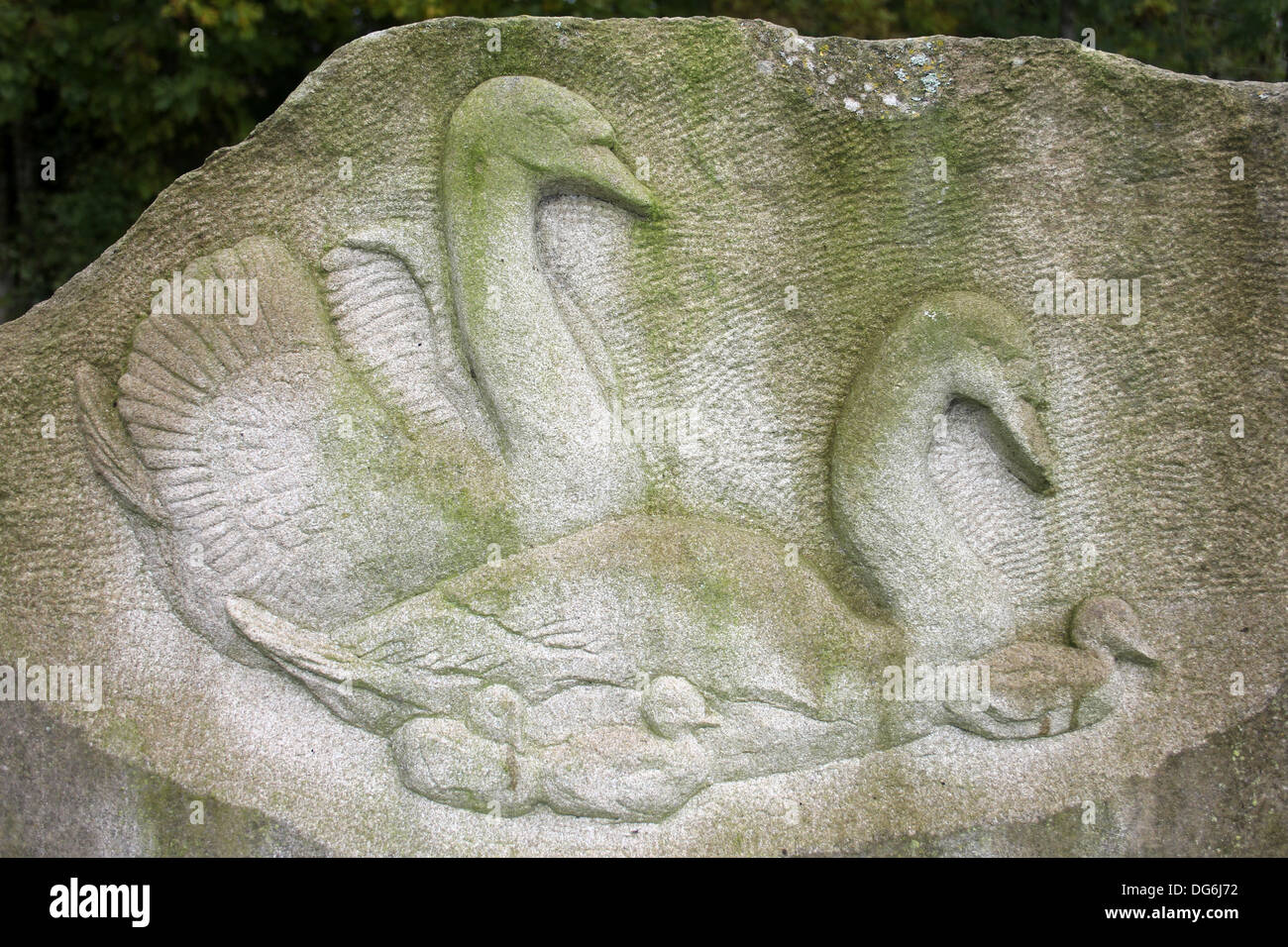La sculpture sur pierre d'une famille de cygnes tuberculés y compris Cygnets Banque D'Images