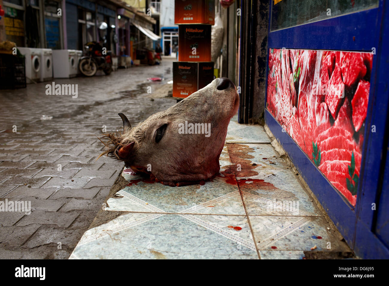 En dehors de Cow Head butcher dans l'Est de la Turquie. Banque D'Images