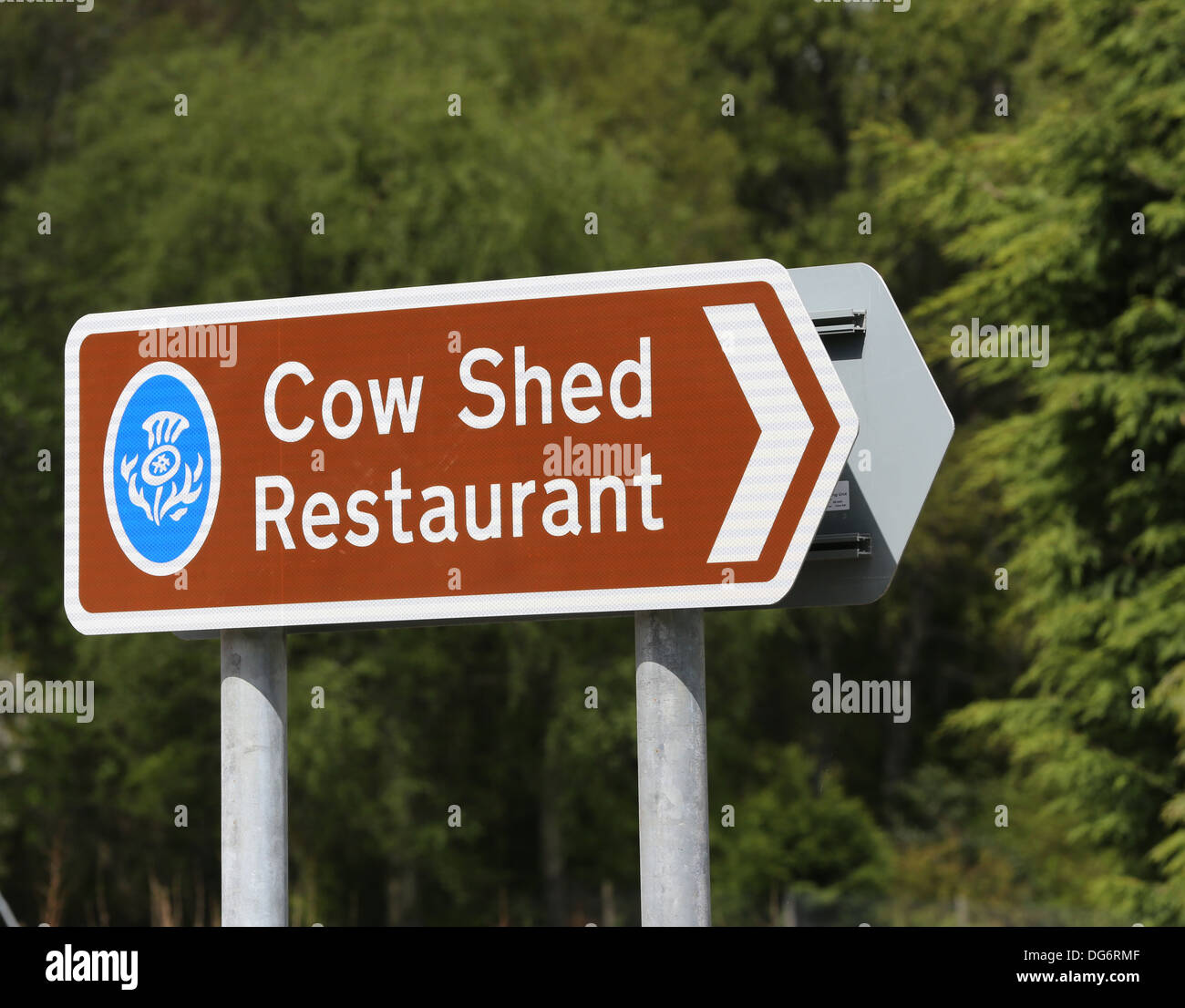 Signe pour les Cow Shed restaurant près de Banchory, Aberdeenshire, Scotland, UK Banque D'Images