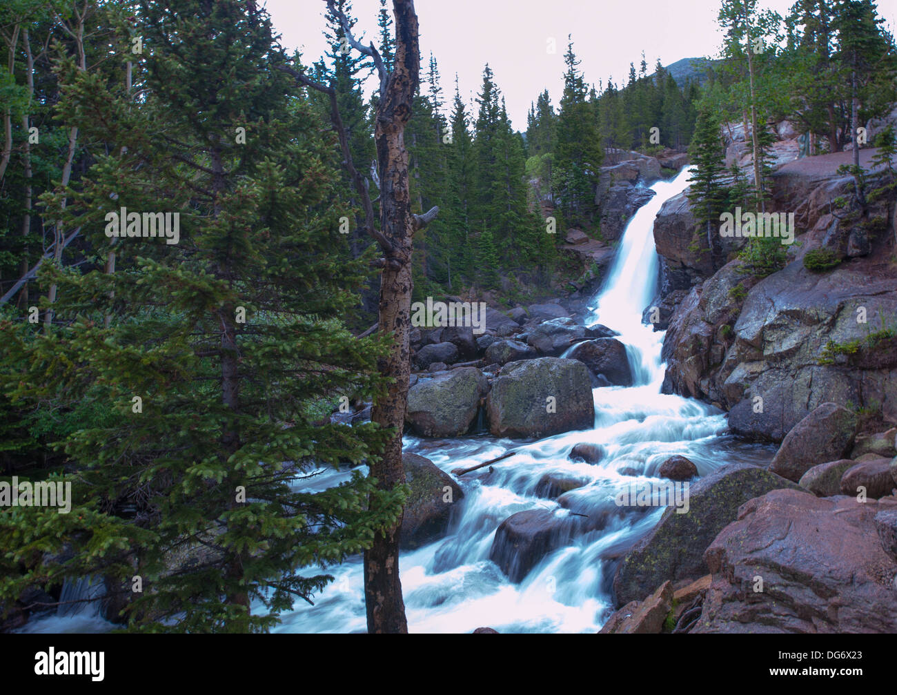 Chutes de l'Alberta, le Parc National des Montagnes Rocheuses au Colorado Banque D'Images